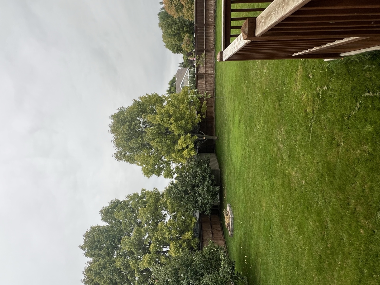 Large fenced backyard with mature trees